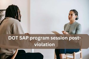 SAP Program